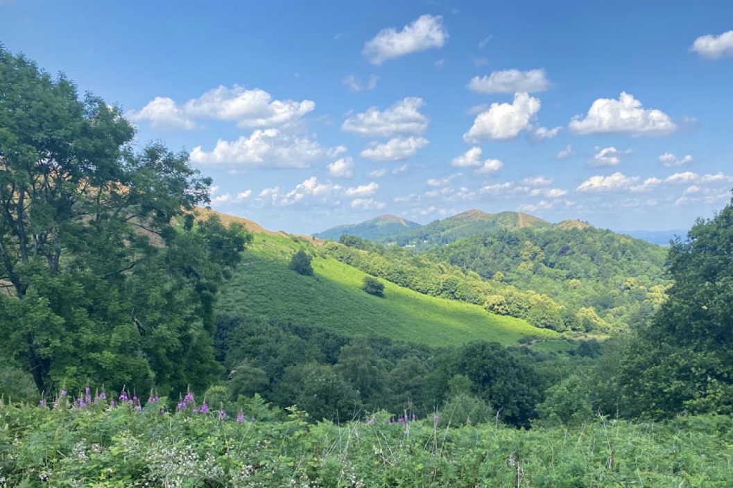 The-Great-Outdoors